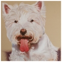 Dog portrait Bonnie Pastel