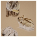 Hamster Portrait Ruble Pastel