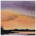 Landscape Starling Sunset 1 Watercolour